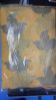 Picture of Cotton & Soft Print Premium Sharee