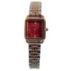 Picture of OLIYA (Yindini-896) – Luxurious Ladies Watch 