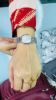 Picture of Rolex Brand Premium Ladies Watch